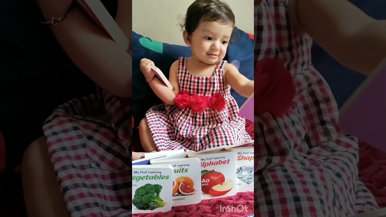 My First Little Librarian: Boxset of 12 Best Board Books for Kids Age 0-3 Years