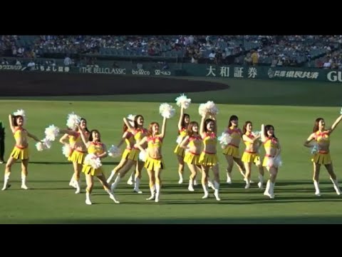試合前タイガースガールのオープニングダンス