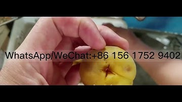 Greengage prunes pitting machine plum apricot removing machine and separating machine