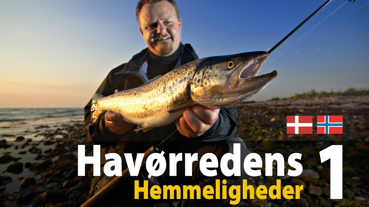 Havørredens Hemmeligheder 1 - spin