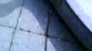 360 flips off ledge