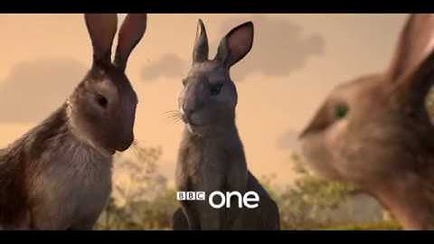 Watership Down 2018 New Series Trailer James McAvoy, Animated Movie