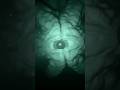 Visual || Found Footage Cryptid Encounter #cryptids #foundfootage #analoghorror #monster #viral