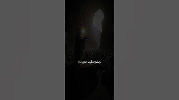 اسلام صبحي | سورة الشعراء آية ٢٢٤-٢٢٧