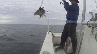 Haddock fishing on Jeffrey's Ledge