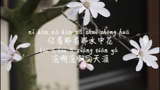 【花与马-大籽】HUA YU MA-DA ZI /TIKTOK,抖音,틱톡/Pinyin Lyrics, 拼音歌词, 병음가사/No AD, 无广告, 광고없음