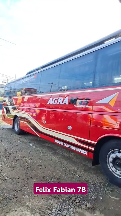 Bus Pendatang Baru ..Bus Mewah langsung di Turunkan...Penumpang Banyak Pilihan  #shorts