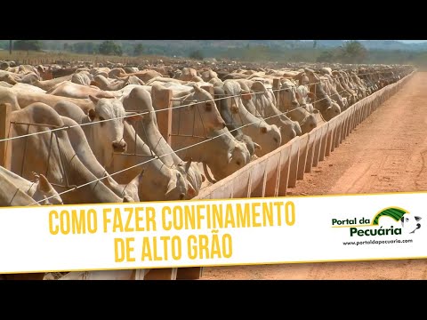 Como fazer confinamento de alto grão