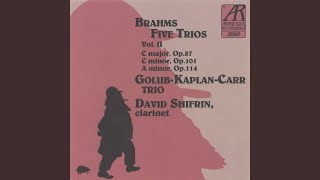 Trio in A Minor for Clarinet, Cello and Piano, Op. 114: II. Adagio