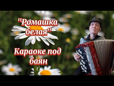 "Ромашка белая" Караоке под баян...