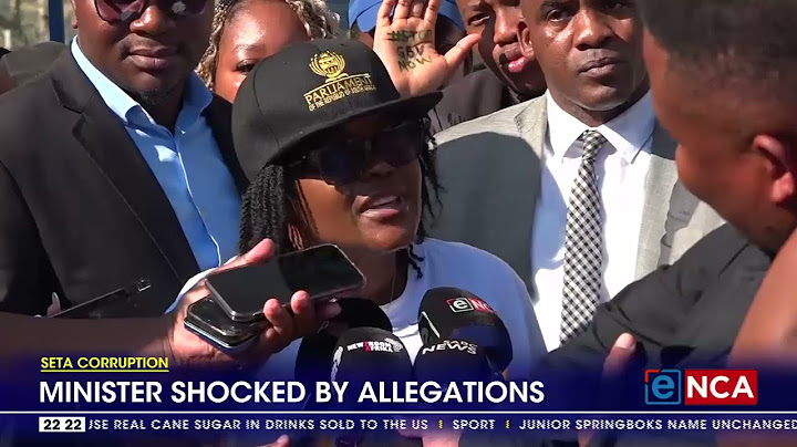 SETA corruption | Minister shocked by allegations