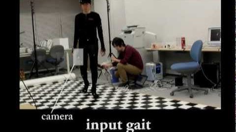 Human Gait Estimation Using a Wearable Camera