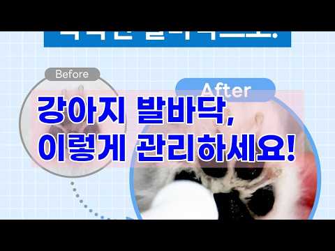 강아지 발바닥 고민 끝! 바이랩 발바닥 보습제 솔직 후기