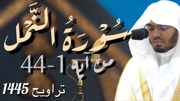 ( سورة النَّمْل:1-44)الشيخ ياسر الدوسري تراويح عام 1445 ليله 23