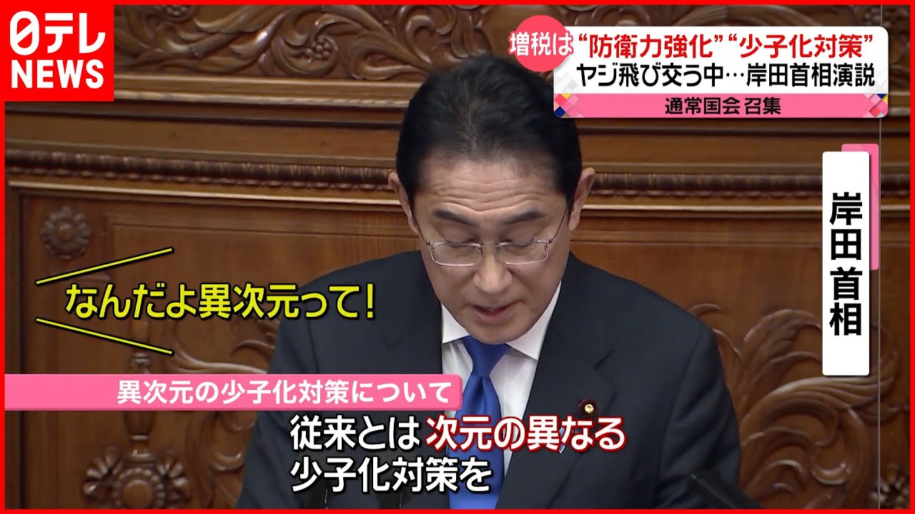 野党 野次