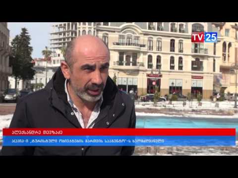 ქალაქის მერიამ დიდთოვლობის შედეგად დაზიანებული ინფრასტრუქტურის აღდგენითი სამუშაოები დაიწყო