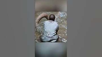 Dune part 2 - How to get Water of Life -  Little Sandworm #shorts