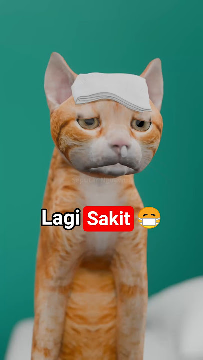 Sakit 😷 #seputarnguawur
