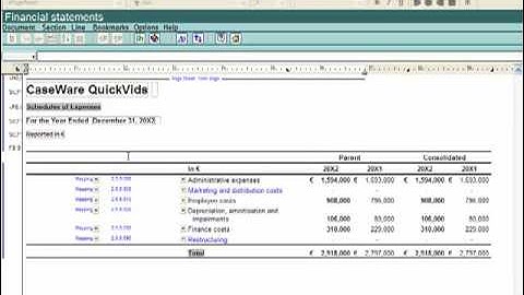 IFRS Financials: Working in the Financial Statements - Populating Data