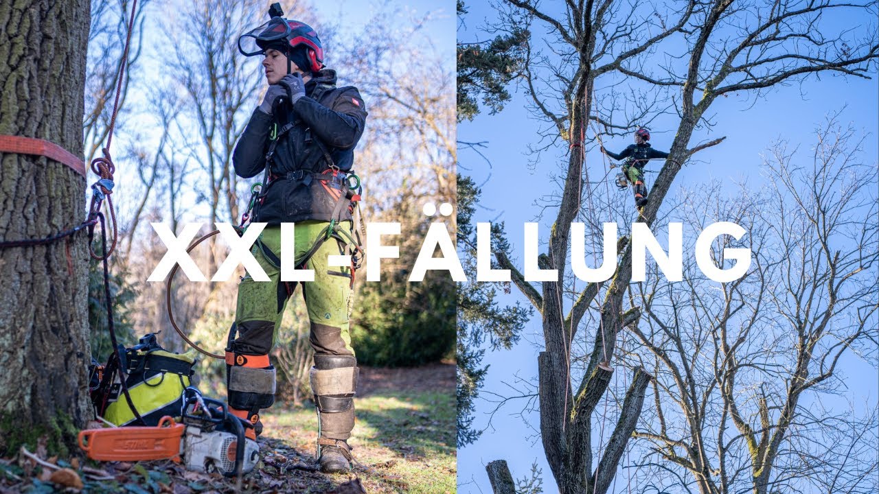 Dieses Video solltest du nicht verpassen!