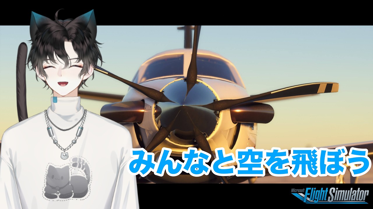 【MSFS】みんなと空を飛ぼう！見る専で空の旅しよう
