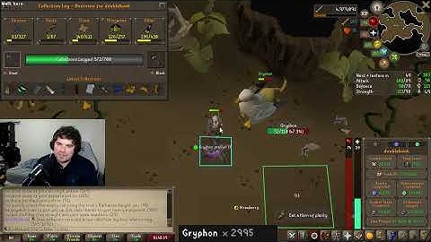 ✅Seagull Killing Day 2 !chanced ~ HCIM Tasking ✅