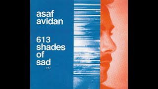 ASAF AVIDAN 613  Shades of Sad