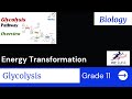 Grade 11 Biology Glycolysis | For Ethiopian _Energy transformation
