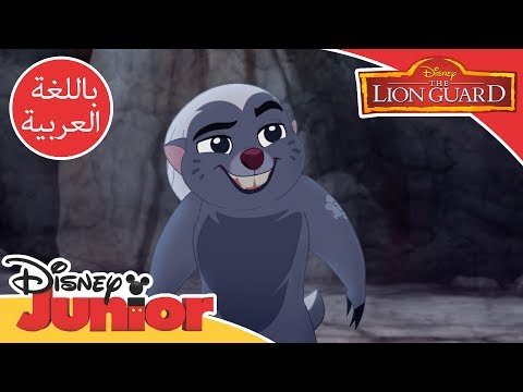 قيادة الأسد الحارس جرير العسل