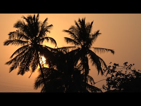 Watch another Holy-Land Productions original "Lost in Goa".