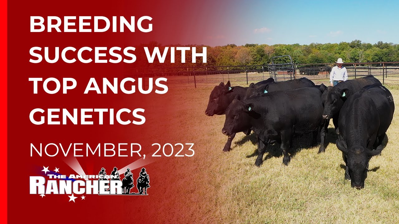 Bear Creek Farms | The American Rancher__11-06-2023