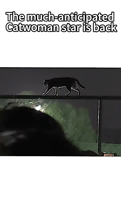 The much-anticipated Catwoman star is back