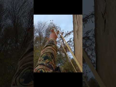 من منكم يستطيع قنص هذا الزرزور من هده المسافة 