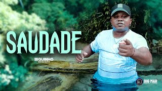 Saudade  Biguinho Sensao