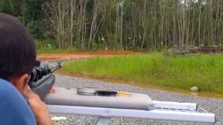 GAMO BIG CAT 1000// PRECISÃO EM TIROS// CARABINA DE PRESSÃO