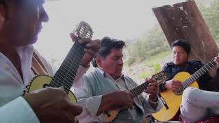 Video voorbeeld van "Bonny Alberto Terán | Caripuyo Torrecita (con Alfredo Coca y Wilson Terrazas)"