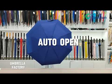 Have you ever seen a 4 folding umbrella