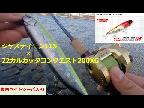 東京ベイトシーバスPJ#2】エバーグリーンジャスティーン115×22