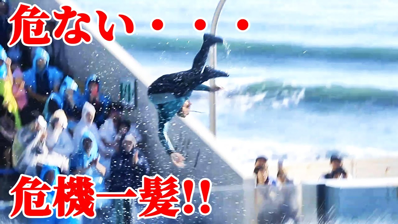【アクシデント】危ない・・・ベリーブロー失敗・・・ 鴨川シーワールド シャチショー KamogawaSeaWorld  orca killerwhale