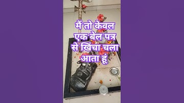 मैं तो केवल एक बेल पत्र से खिंचा चला आता हूं #shorts #trendding #yt #viralshort #devokedevmahadev