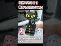 【3Dプリンター】プレゼントに最高✨黒猫のアクセサリーケース作ってみた!😺💍 #shorts #3dprinting #アクセサリーショップ