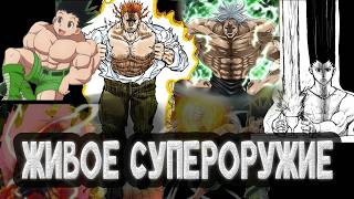 СИЛА НЕН - АБСУРДНЕЕ ЧЕМ КАЖЕТСЯ...| HxH |
