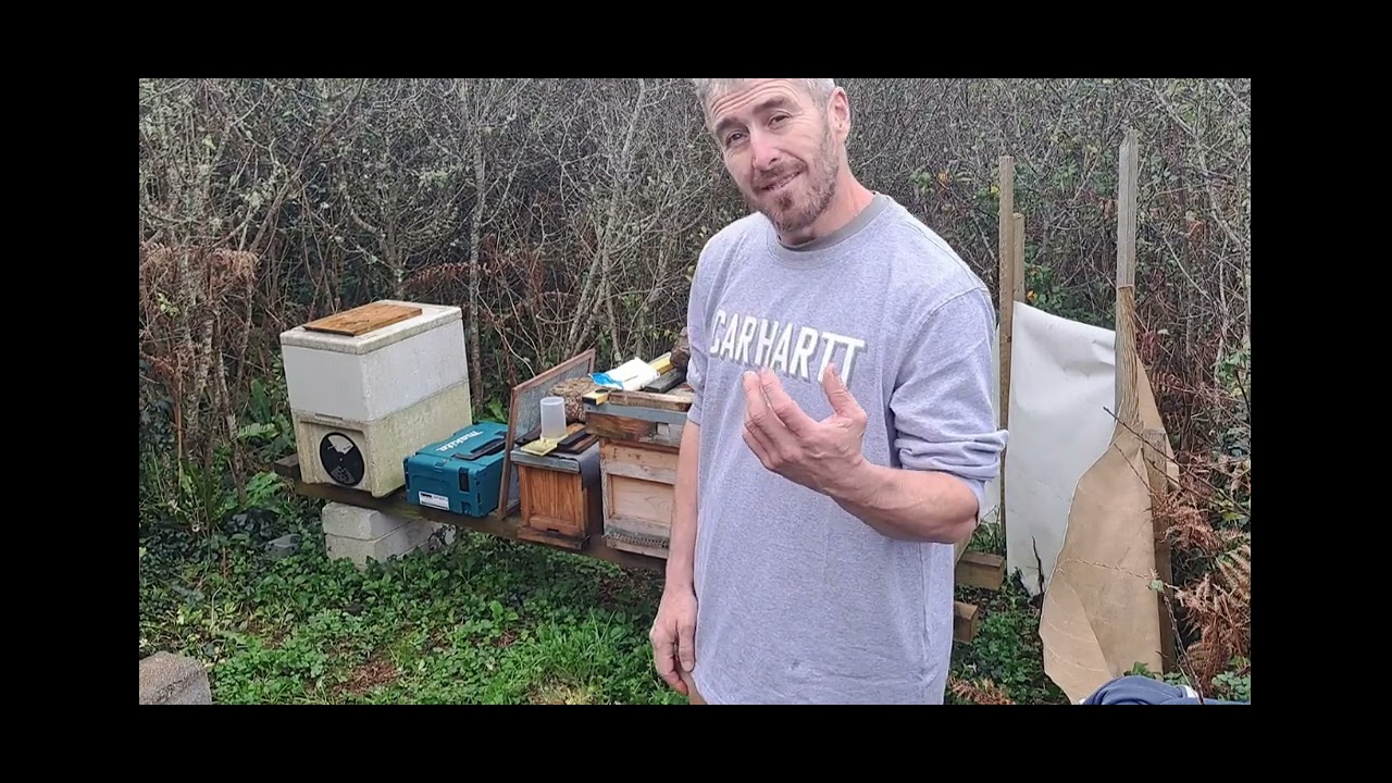 Beekeeping Winter forage