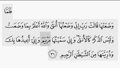 حفظ سورة ال عمران ايه (   ٣٦    ) للقارىء أيمن سويد بروايه حفص عن عاصم