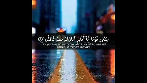 حالات واتس اب دينية | القارئ اسلام صبحي