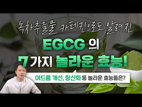 녹차추출물 EGCG의 7가지 놀라운 효능은?