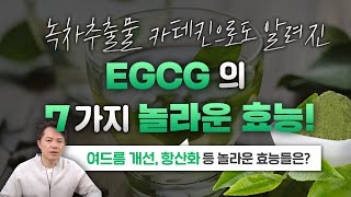 녹차추출물 Egcg의 7가지 놀라운 효능은?