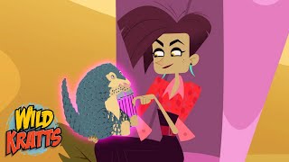 The Panin Mandolin And Other Awful Accessories Donita Donata Season 7 Wild Kratts