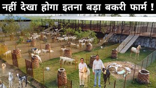 विदेश की 28 लाख की नौकरी छोड़ 6 साल से कर रहे हैं Goat Farming | 550+ Goats | Bakri Palan
