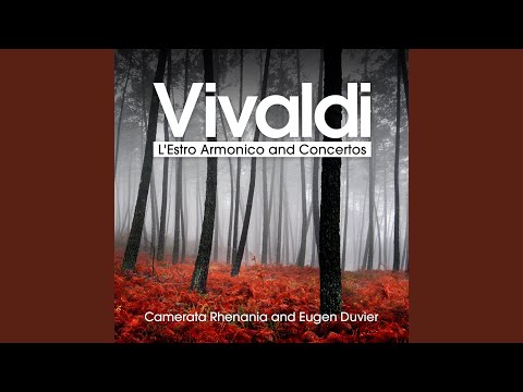 L'Estro Armonico, Op. 3 - Concerto No. 1 in D Major for 4 Violins and Strings, RV 549: I. Allegro